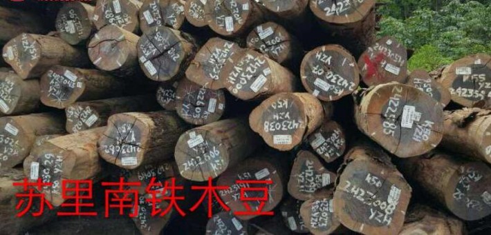 瓦泰豆、柚木等原木价格行情