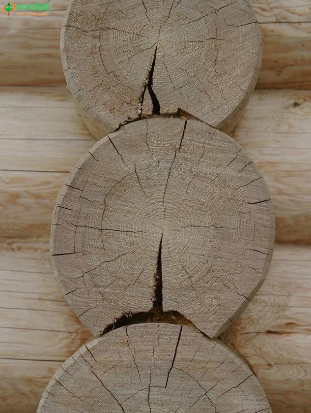 木材的变形和开裂