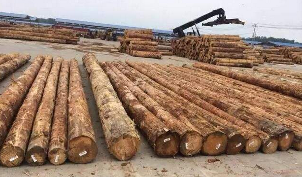 江苏如皋港国际木材产业园盛大招商开启