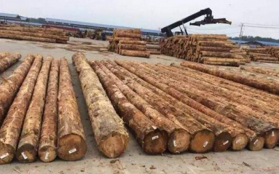 江苏如皋港国际木材产业园盛大招商开启！
