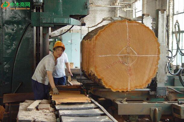 瑞典锯木业计划加大投资