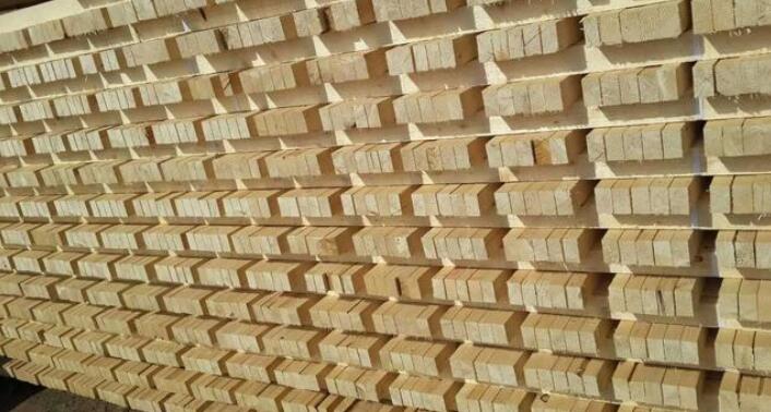 防腐木，是将木材经过特殊防腐处理后，具有防止腐朽菌腐朽功能