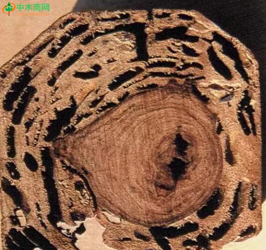 硬木家具就不同了，它的木料具有细密坚实的特性，其重量主要来自木材本身