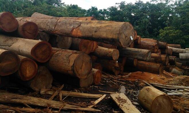 中国已经成为加拿大第二大木材出口国