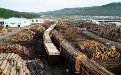 俄将联合打击非法砍伐,运输,加工,销售木材及其制成品行为