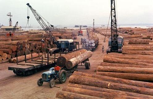 加纳木材出口取得积极进展