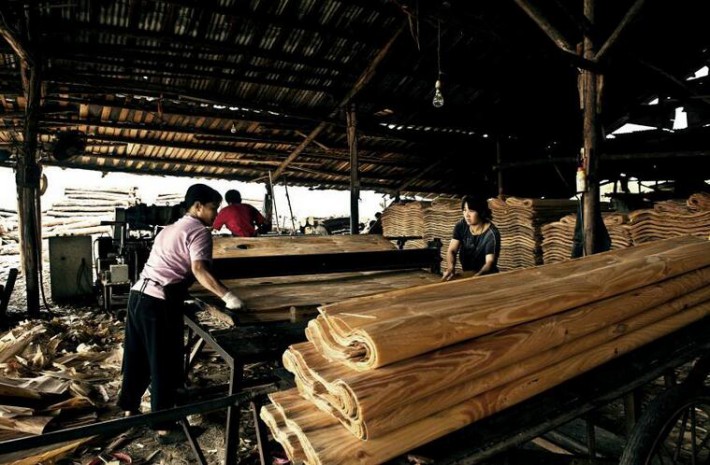 江西瑞昌人大代表视察木材加工企业