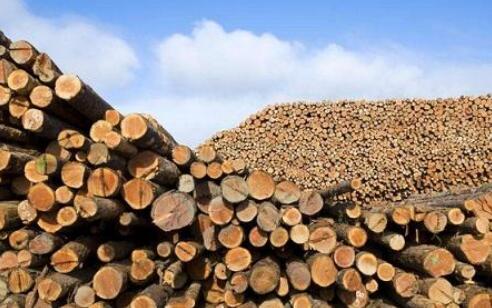加拿大回应美国对其木材征收20%关税