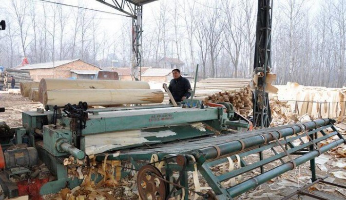 沭阳县一季度木材加工产业开票销售增长42.44%