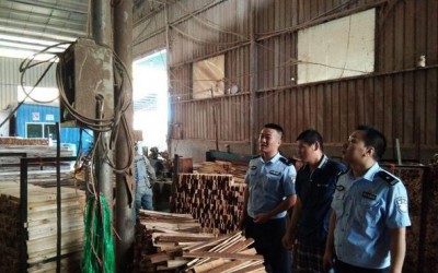 抚州市林业产业发展管理局突查木材加工企业
