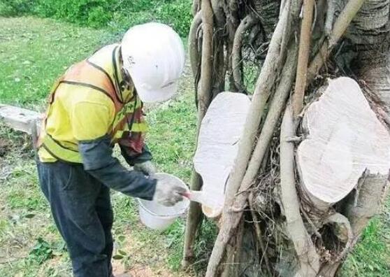 一般的伤口用油漆直接涂抹一遍即可