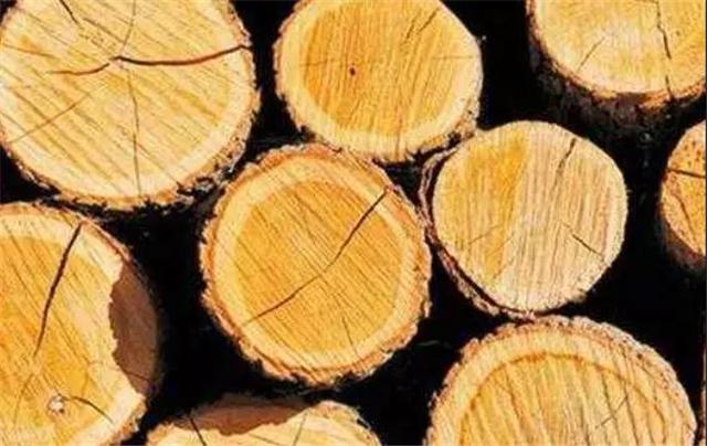 木材干燥新技术层出不穷,传统窑干仍是尚佳之选！
