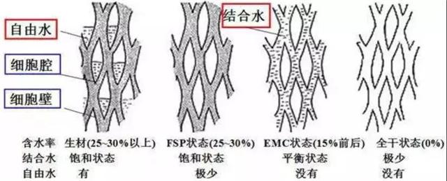 木材中的水份分为三类：自由水、吸着水、化合水