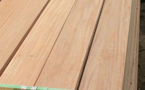 户外防腐地板 精品巴劳木防腐木 景观园林用材 定做尺寸图3