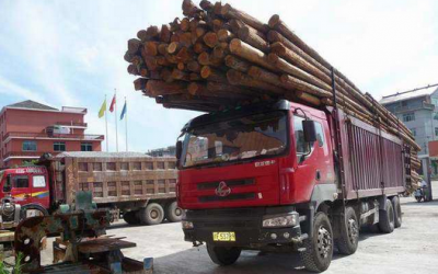 木材运输证怎样办理?