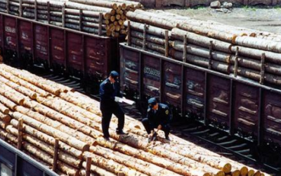 一季度绥芬河口岸木材进口179万吨,同比增长2.2%
