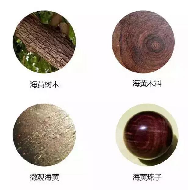 多藝多]海南黃花梨辟邪降香野生紅紫油梨根瘤料千年土埋中空雞骨