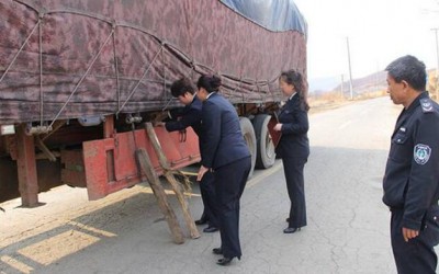 云南红塔区林检站移交一起无证运输木材案件