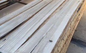 欧洲白蜡木毛边板实木 防腐 北欧家具材ABC级 木材批发图3