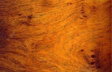 明式硬木家具的主要用材