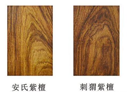 “花梨”这个词在我国的历史原因