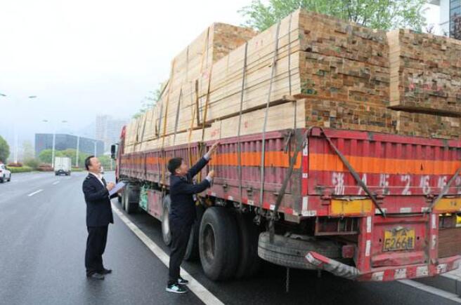 安徽绩溪县林业局严厉处理非法运输松木制品案件
