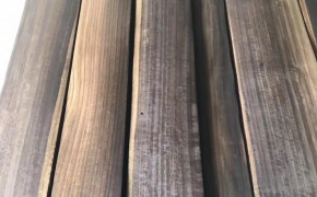 烟熏碳化尤加利木皮图3