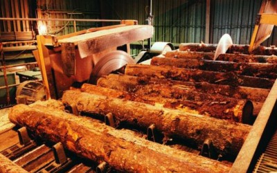 2017年江苏灌南木材加工产业产值40.6亿元