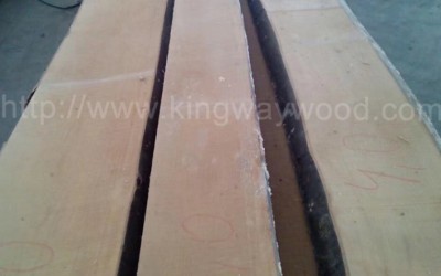 欧洲进口榉木毛边板  实木 板材 榉木木料 地板家具料