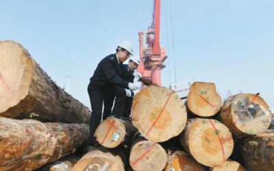 1-4月日照口岸原木进口同比增长22%