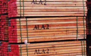 红柳桉木厂家最低价格图3