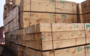 新西兰松防腐木厂家最低价格图2