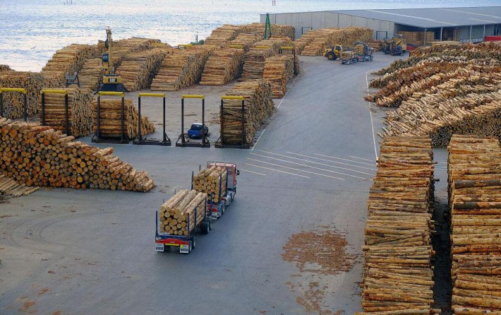 中国海关禁止香港熏蒸原木入港