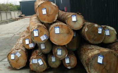 美国木材出口昂贵 预计影响我国出口竞争力