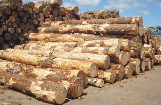 木材行业近期或将面临供应危机，请提前做好准备！