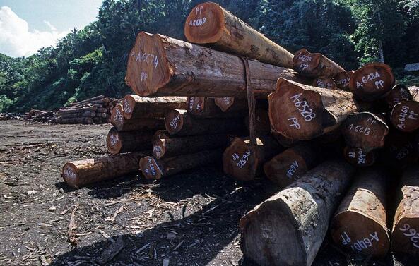 越南扩大木材出口,同时突击检查在越红木经销商