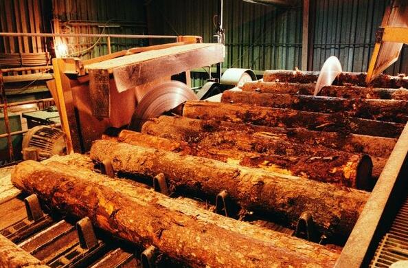 山东曲阜市陵城镇开展木材加工企业安全专项检查