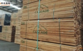 美国赤杨木实木板材批发图2