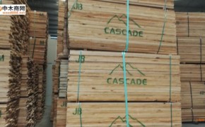 美国赤杨木实木板材批发图3