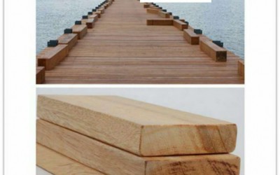 山樟木木板材新货出售 山樟木品质保障出货速度快
