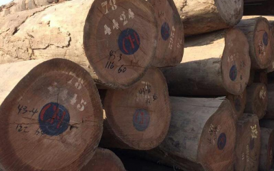 乌干达禁止缅茄木材的砍伐,运输及销售