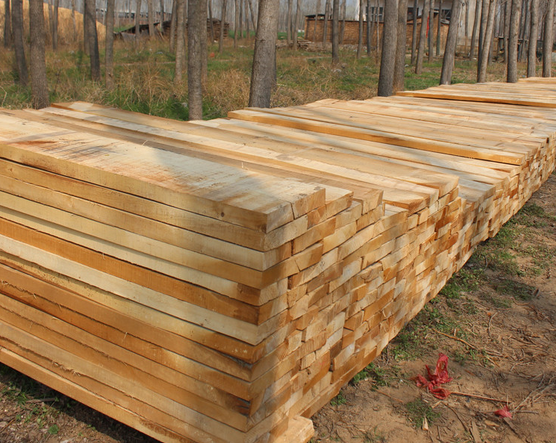 白杨木板这种木材做家具的缺点