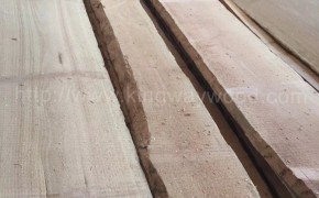 木业欧洲进口 现货 榉木 毛边板 实木 木板ABC级木材图2