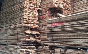 木业欧洲进口 现货 榉木 毛边板 实木 木板ABC级木材图3