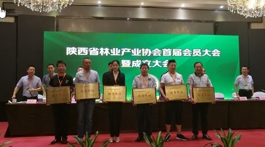 陕西省林业产业协会成立并揭牌
