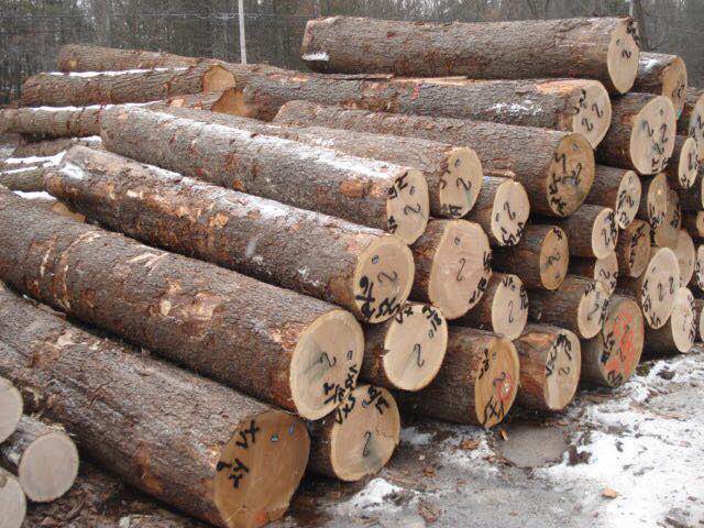 美国樱桃木木材比重约为0.47-0.53，木理通直
