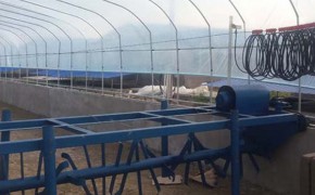 四川眉山小型发酵床翻耙机、1.5米高槽池牛粪发酵有机肥设备厂