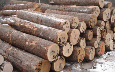 环保要求提高 木材行业规模增速下降