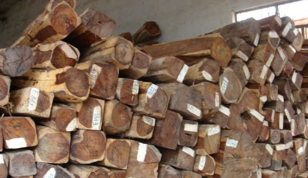 中木商网木材市场红木价格行情