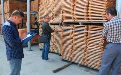 云南澄江专项整治非法经营加工木材